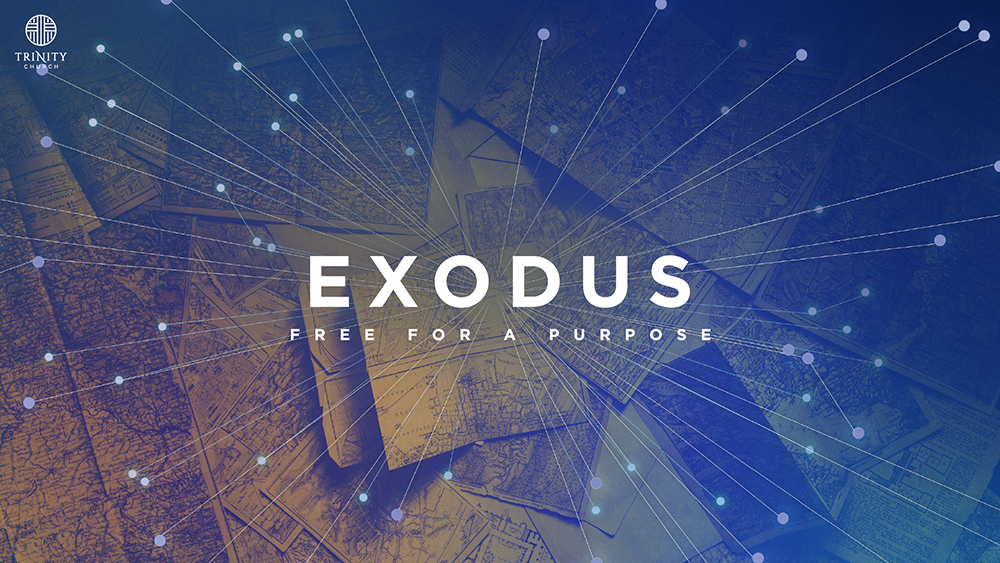EXODUS: Free for a Purpose - The Burning Bush